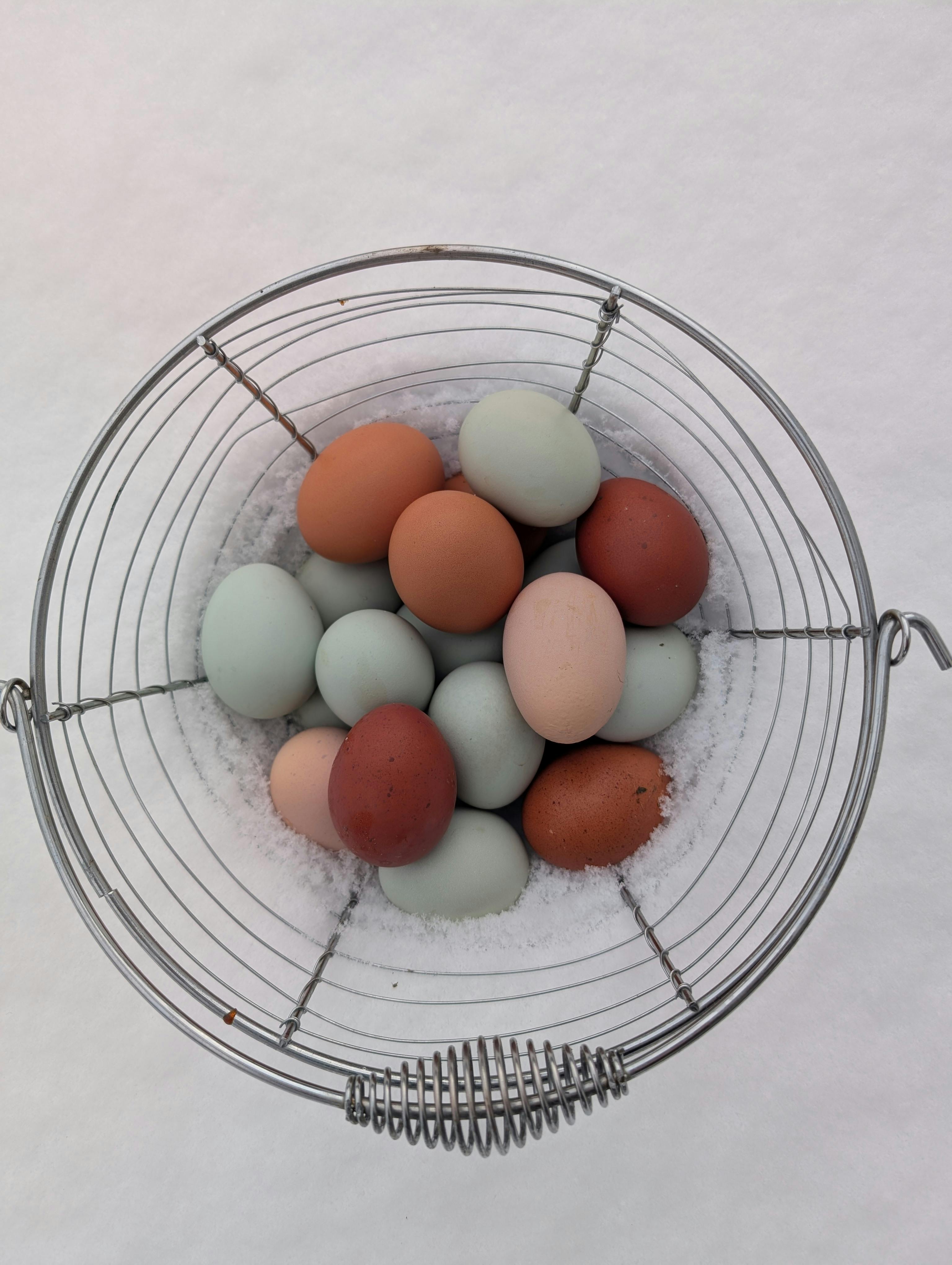 FRESH eggs
